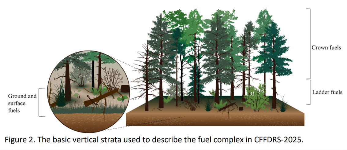 Wildfire Fuels Mapping - Forsite Consultants